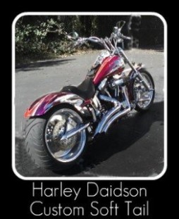 Harley Davidson Custom Soft Tail